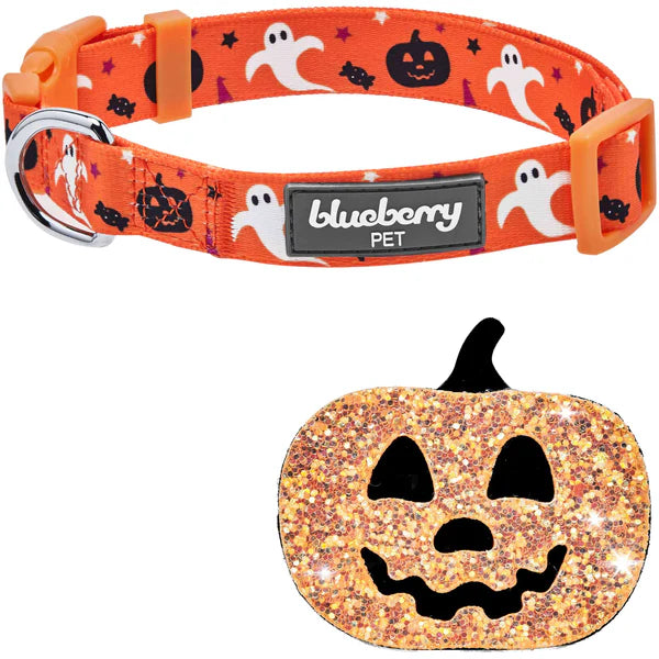 Blueberry Pet - Jack-O-Lantern | Halloween Dog Collar