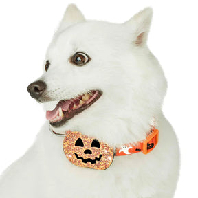 Blueberry Pet - Jack-O-Lantern | Halloween Dog Collar