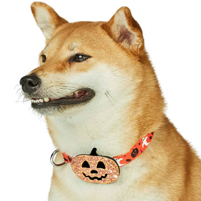 Blueberry Pet - Jack-O-Lantern | Halloween Dog Collar