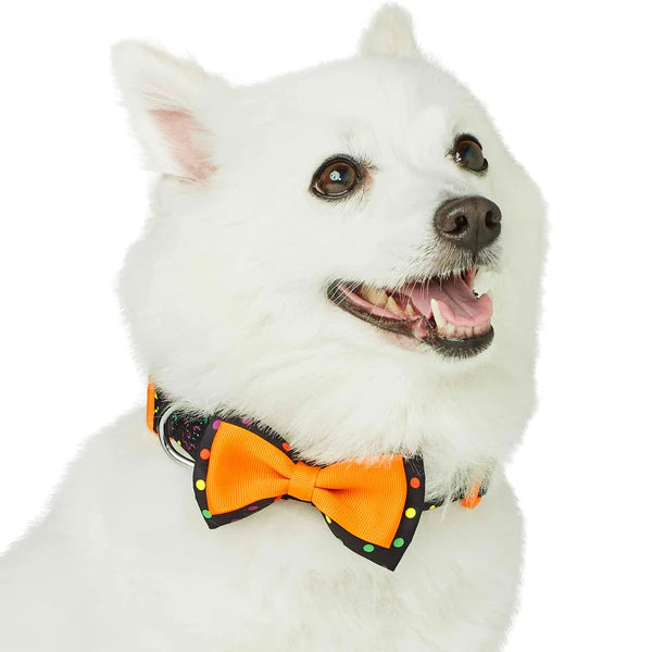 Blueberry Pet - Polka Dot Halloween Dog Collar