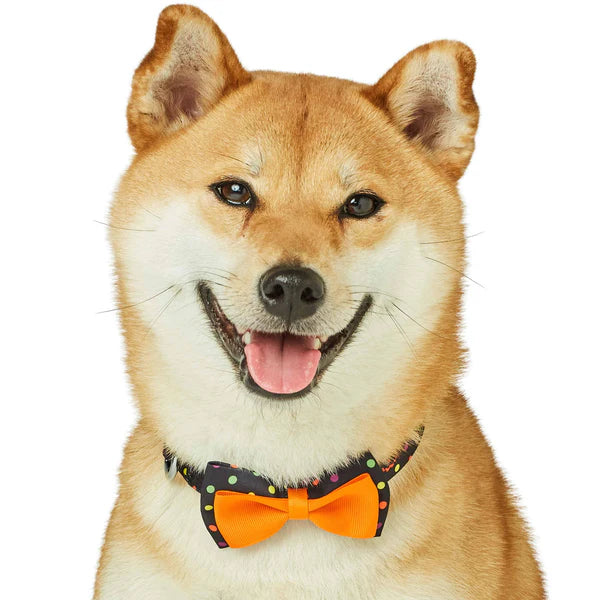 Blueberry Pet - Polka Dot Halloween Dog Collar