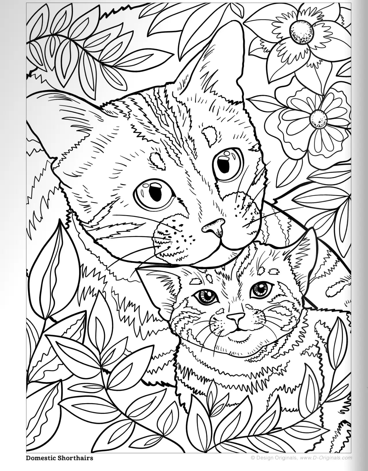 Wellspring- Coloring Book - Cats & Kittens