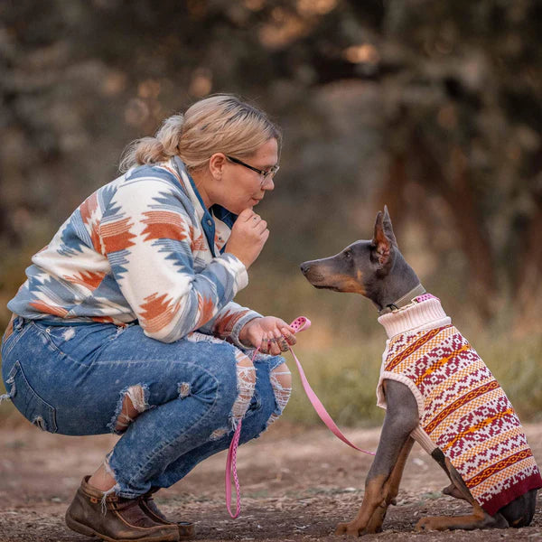 Blueberry Pet - Fair Isle Pullover Dog Sweater Beige