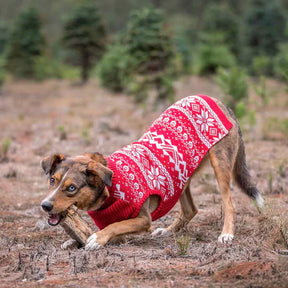 Blueberry Pet - Festival Red | Fair Isle Mock Neck Dog Sweater