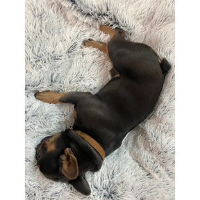 Tall Tails - Waterproof Blanket Dream Frost Grey - Southern Agriculture 