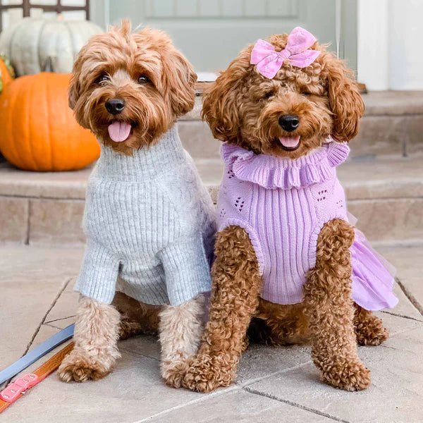 Blueberry Pet - Lavender | Dog Sweater Dress