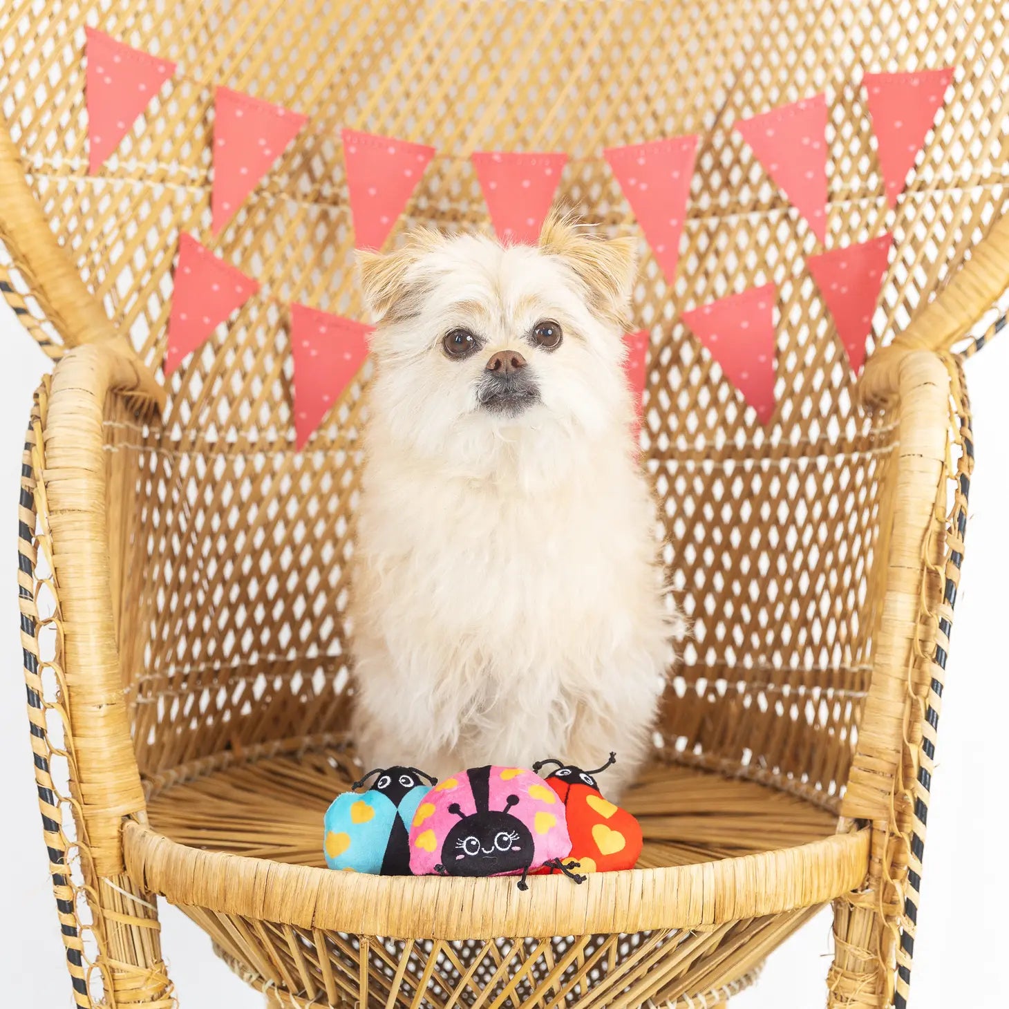 Petshop by Fringe Studio - Buggy For You Dog Toy - Southern Agriculture 