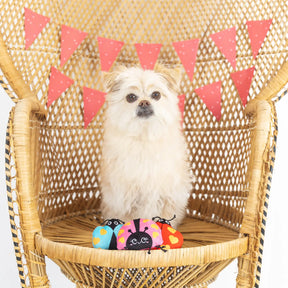 Petshop by Fringe Studio - Buggy For You Dog Toy - Southern Agriculture 