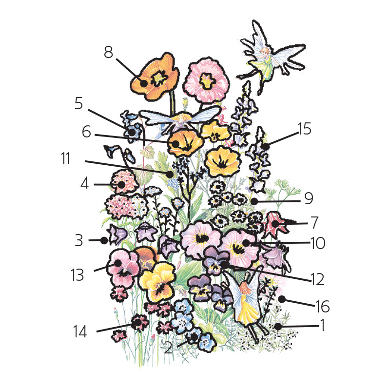 Botanical Interests, Inc. - Flower Mix "Fairy Meadow" Seeds - Southern Agriculture 