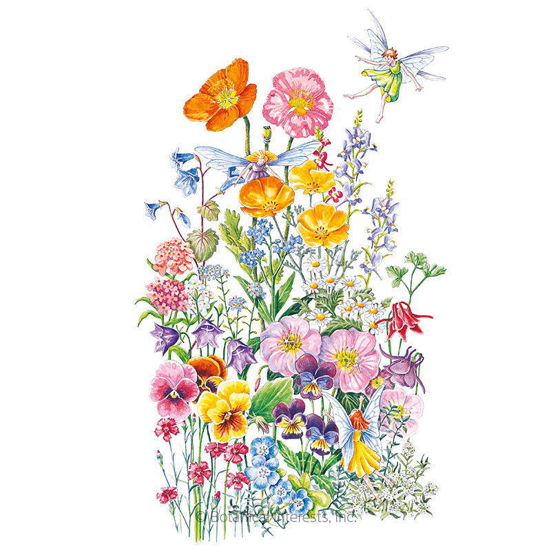 Botanical Interests, Inc. - Flower Mix "Fairy Meadow" Seeds - Southern Agriculture 