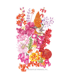 Botanical Interests, Inc. - Flower Mix "Hummingbird Haven" Seeds - Southern Agriculture 