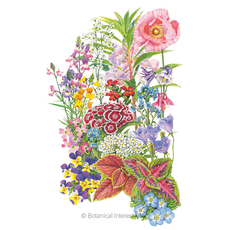 Botanical Interests, Inc. - Flower Mix "Made in the Shade" Seeds - Southern Agriculture 