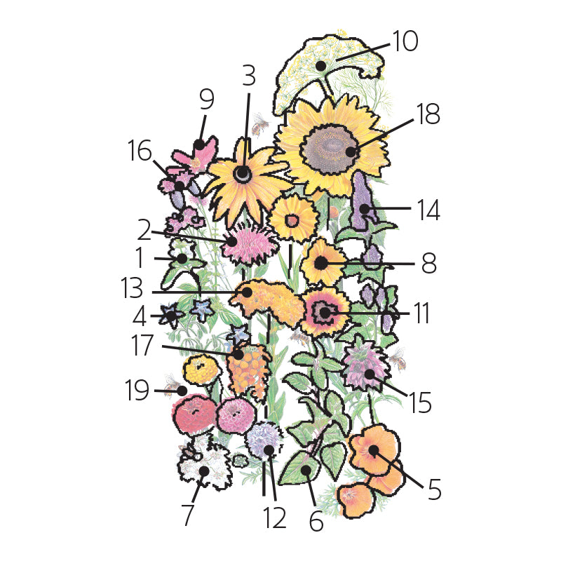 Botanical Interests, Inc. - Flower Mix "Save the Bees"
