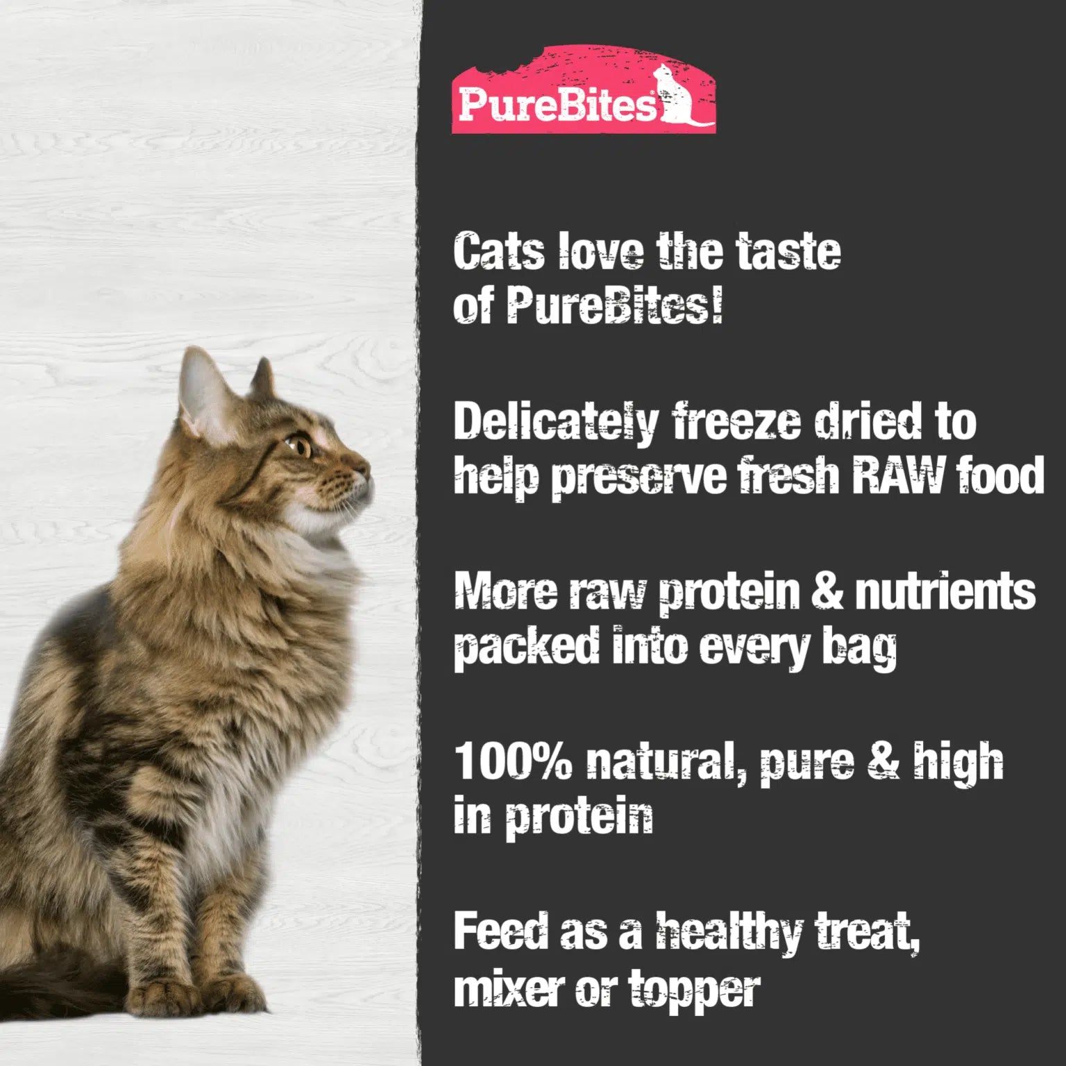 Pure Bites -  Freeze Dried Shrimp Wild-Caught Dog Treat-100% USA