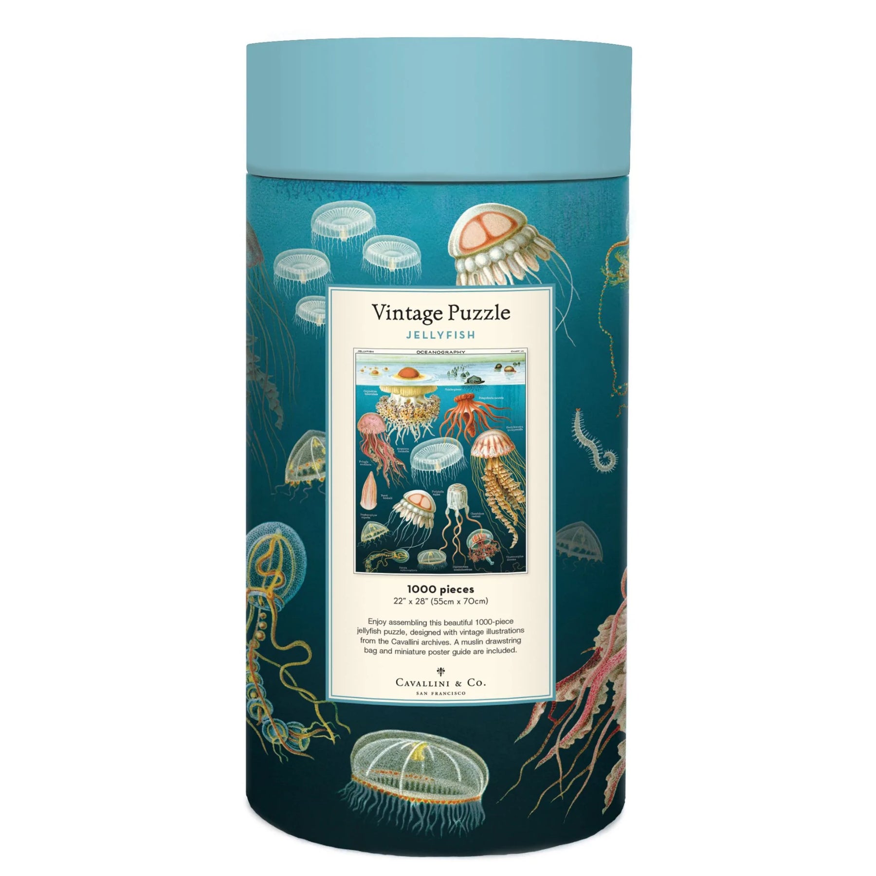 Cavallini & Co. - Puzzle Jellyfish - Southern Agriculture 