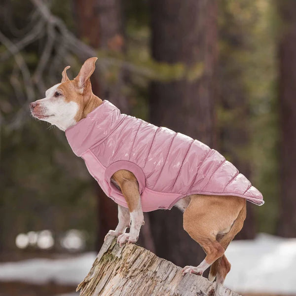 Blueberry Pet - Pink | Dog Puffer Jacket