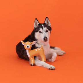Wagsdale - My Sights Are Set on You Plush Dog Toy