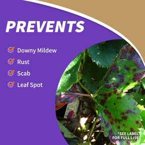 Bonide - CJ Fruit Tree Spray Concentrate - Southern Agriculture 