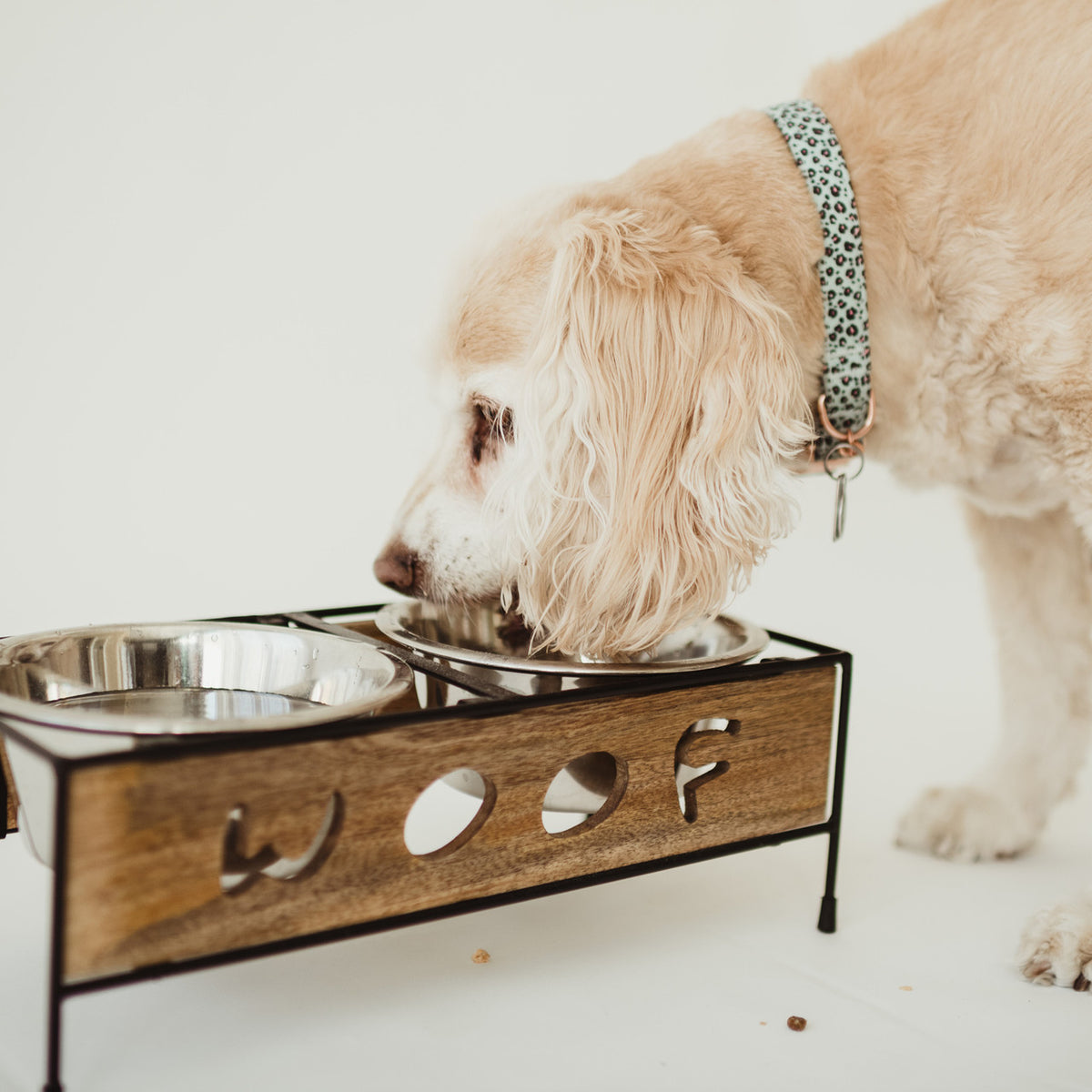 Loving Pets Inc. - Wooden Woof Double Diner Bk - Southern Agriculture 