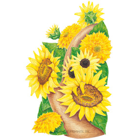 Sunflower Dwarf Elves Blend Organic Seeds - Southern Agriculture 