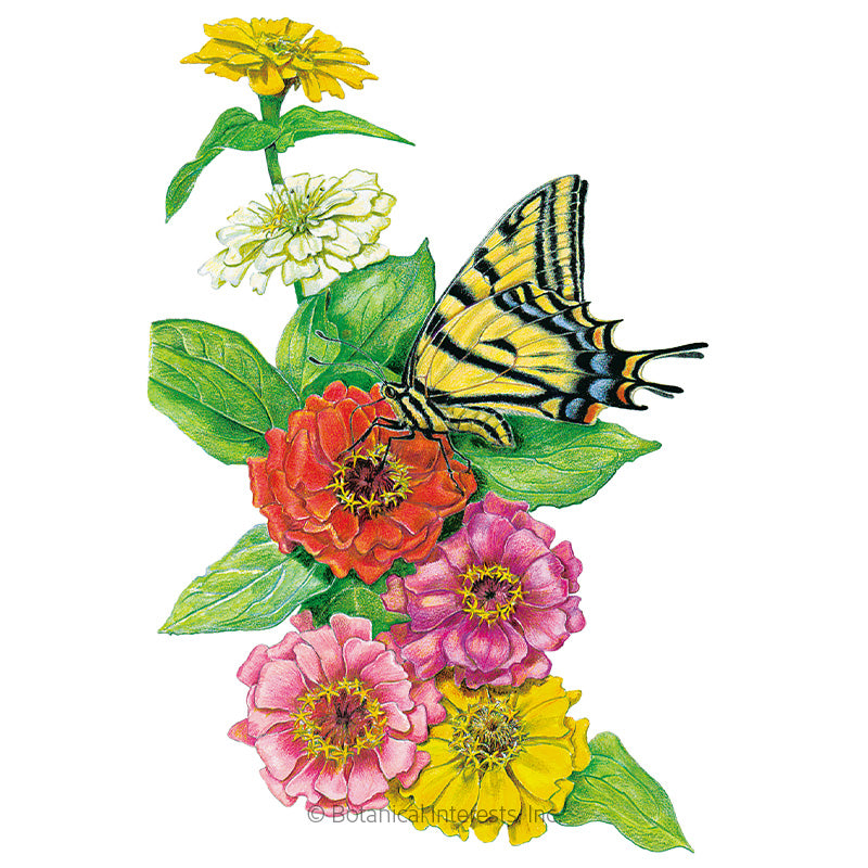 Botanical Interests, Inc. - Zinnia Thumbelina Seeds