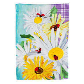 Flag Daisy & Ladybug Field - Southern Agriculture 