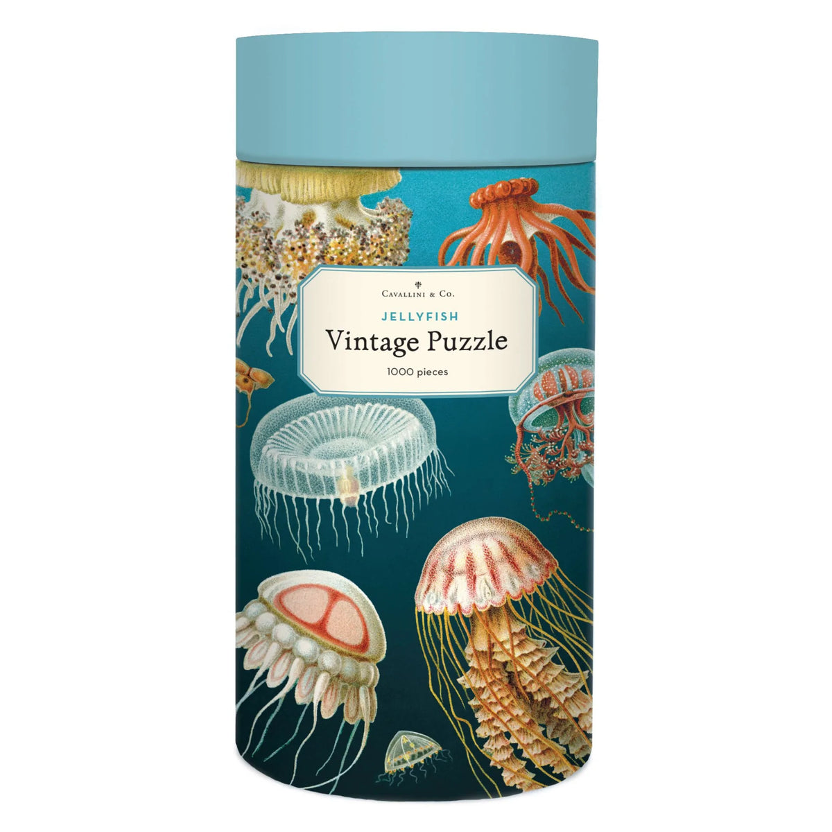 Cavallini & Co. - Puzzle Jellyfish - Southern Agriculture 