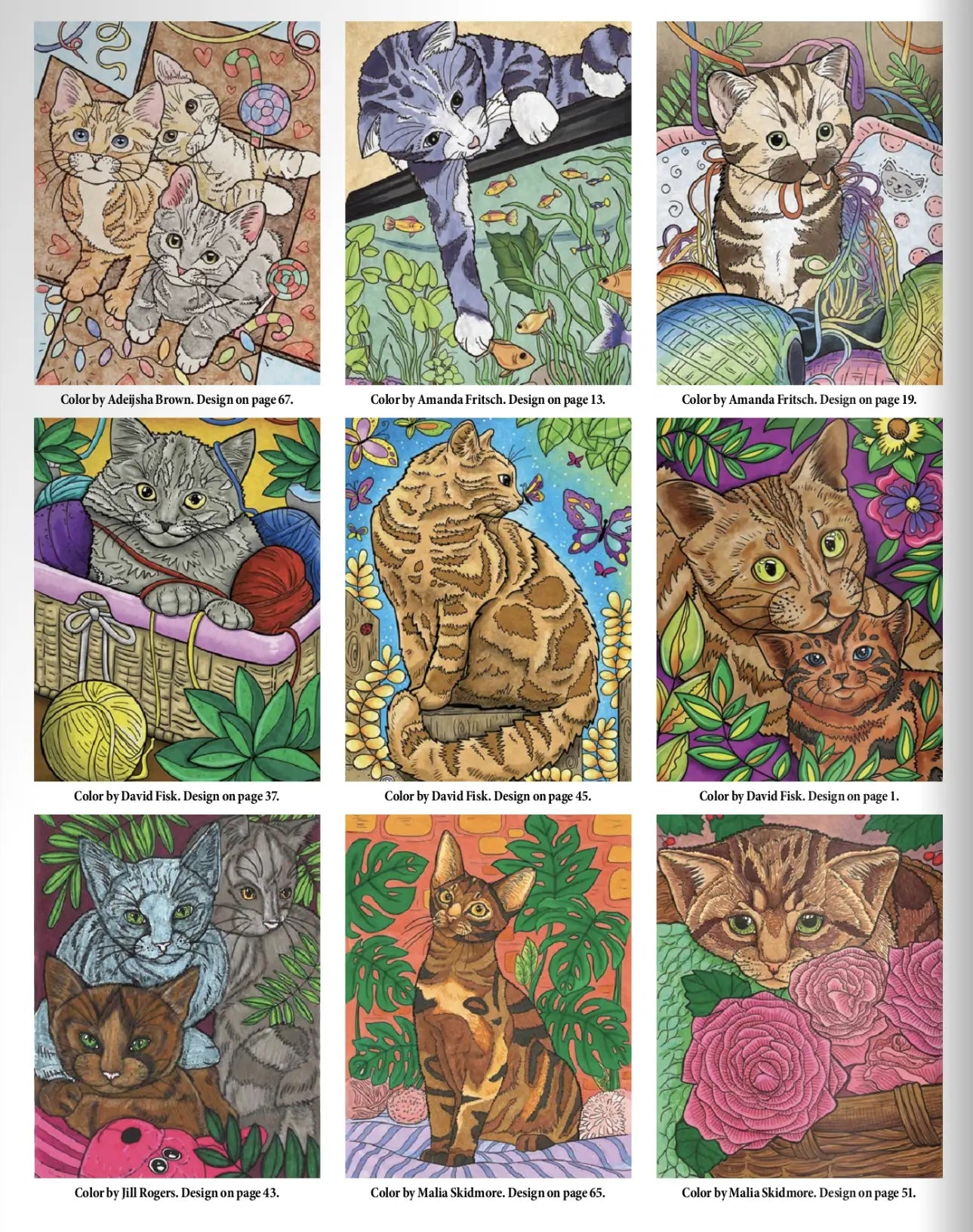 Wellspring- Coloring Book - Cats & Kittens