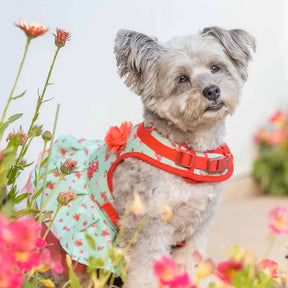Blueberry Pet - Turquoise | Made Well Floral Dog Dress Harness
