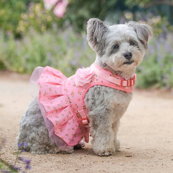Blueberry Pet - Rose Baby Pink | Made Well Floral Dog Dress Harness