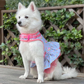 Blueberry Pet - Pastel Blue | Made Well Floral Dog Dress Harness