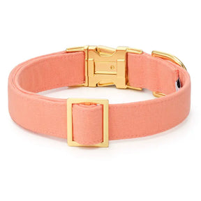 The Foggy Dog - Dog Collar Mango Spring