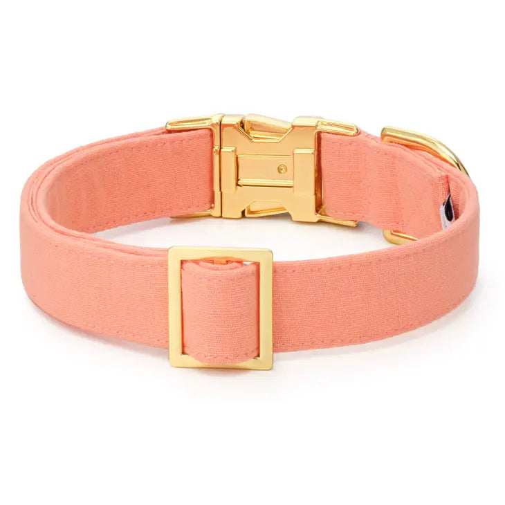 The Foggy Dog - Dog Collar Mango Spring