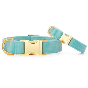 The Foggy Dog - Dog Collar Velvet Robin's Egg - Southern Agriculture 