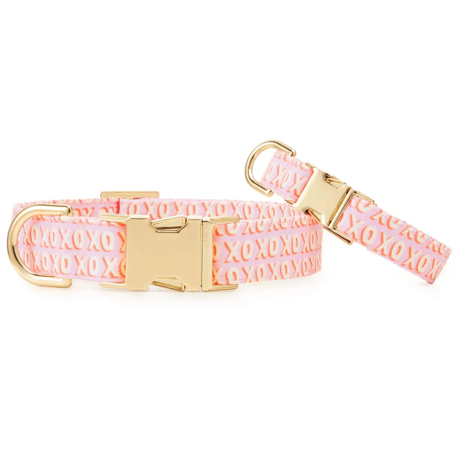 The Foggy Dog - Dog Collar Hugs & Kisses - Southern Agriculture 
