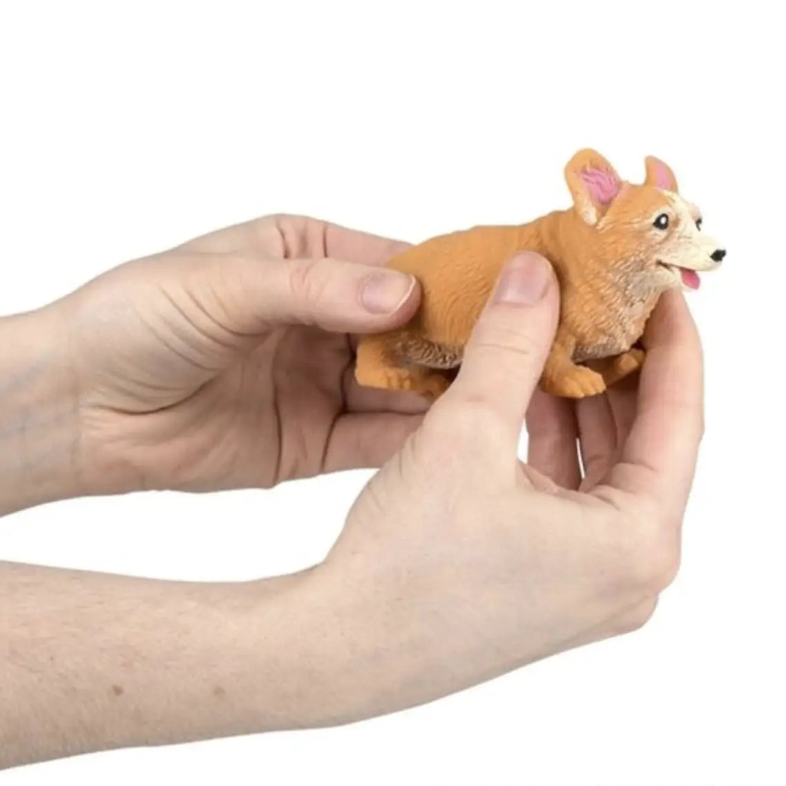 La Luna Bella - Squish Corgi Stretchy