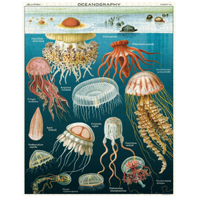 Cavallini & Co. - Puzzle Jellyfish - Southern Agriculture 