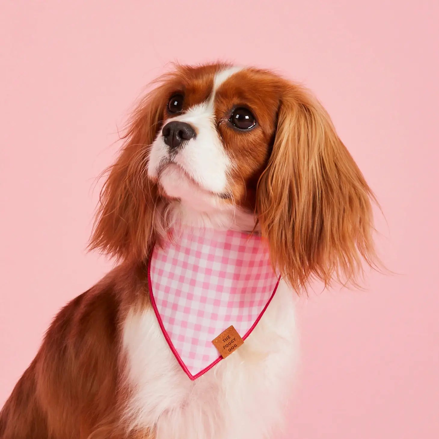 The Foggy Dog - Bandana Dog Valentines Gingham