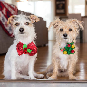 Blueberry Pet - Endless Diamonds | Christmas Dog Collar