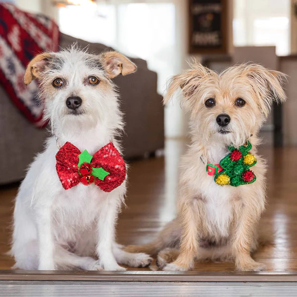 Blueberry Pet - Endless Diamonds | Christmas Dog Collar