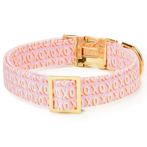 The Foggy Dog - Dog Collar Hugs & Kisses - Southern Agriculture 