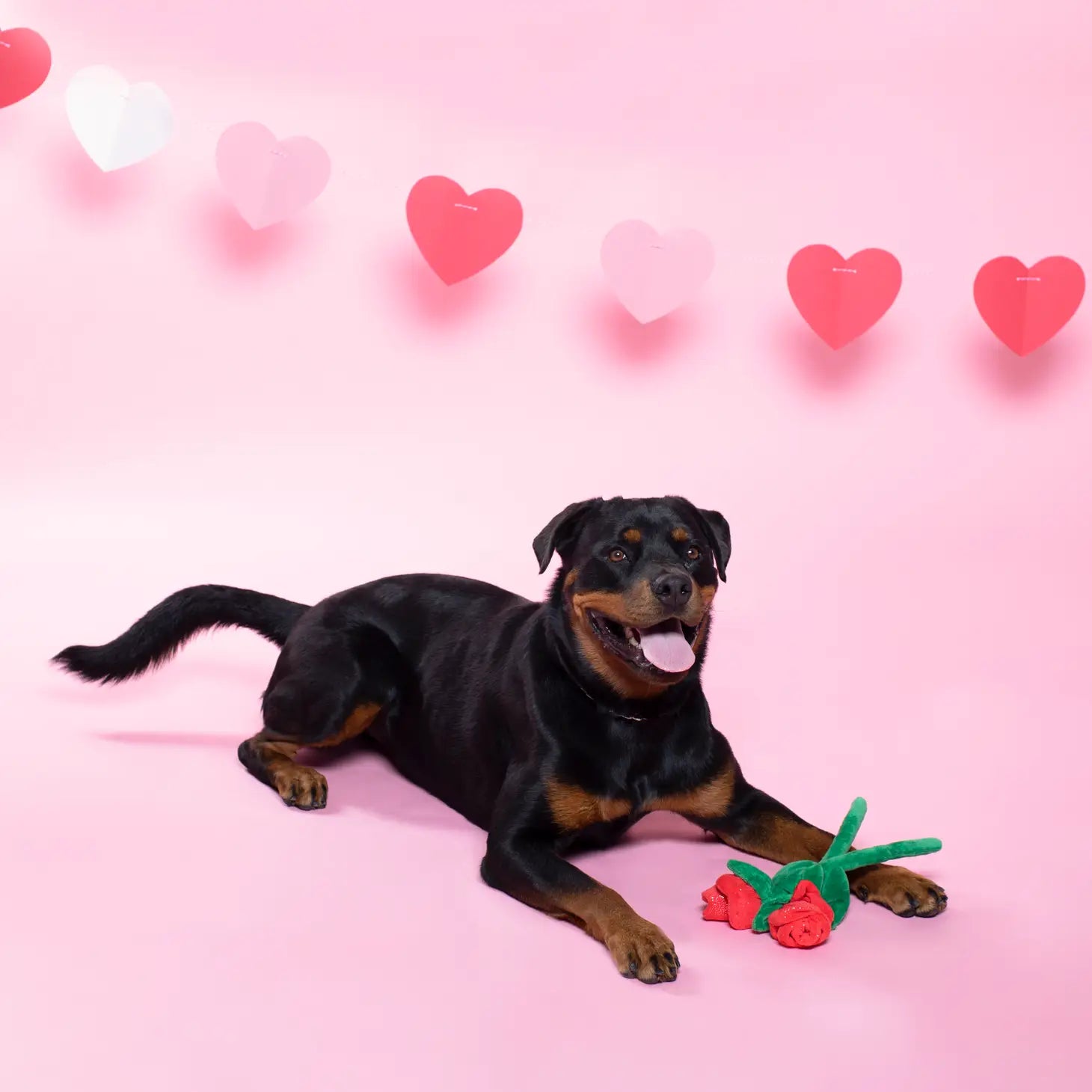 Petshop by Fringe Studio - Will You Accept This Rose? Dog Toy (2 Roses Set) - Southern Agriculture 