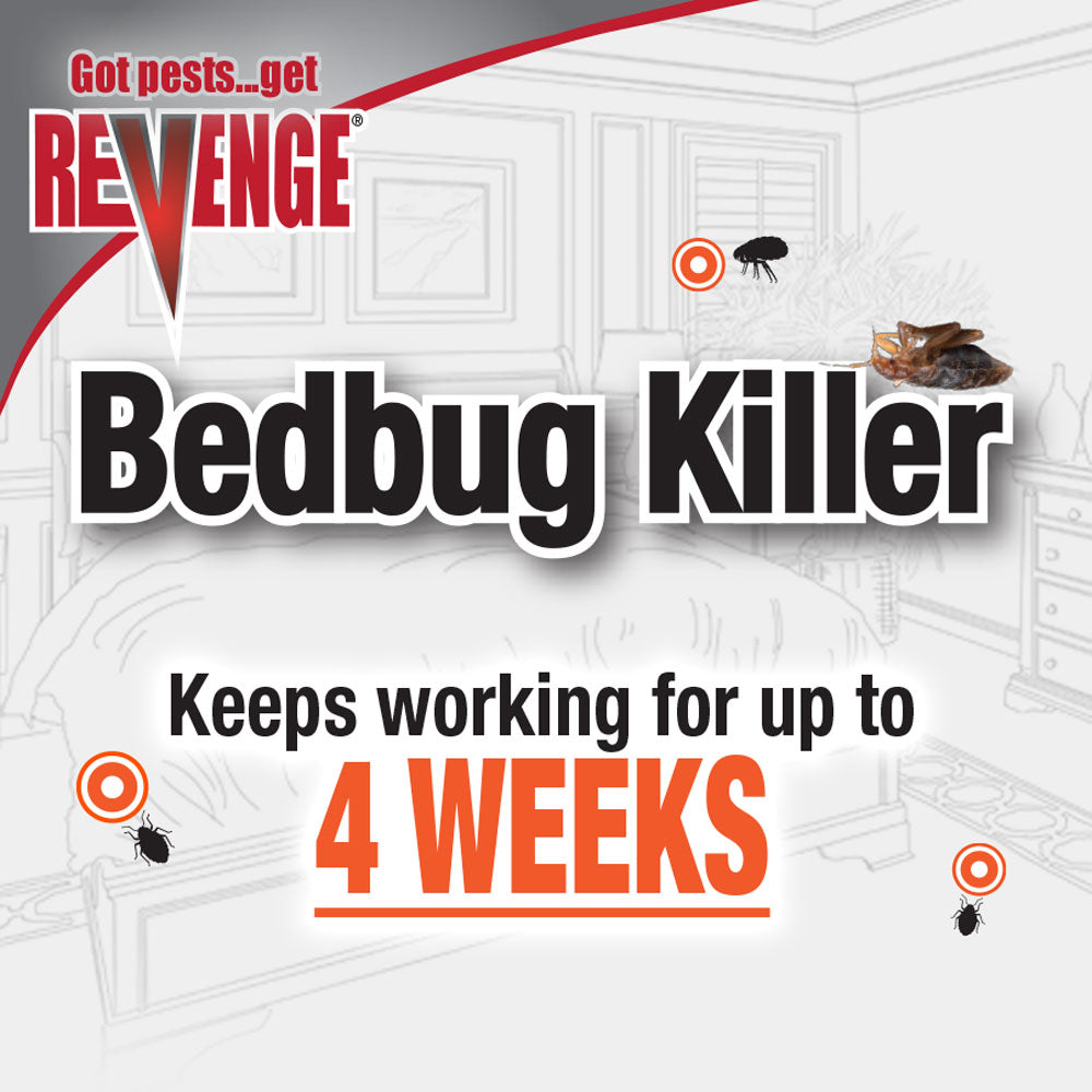 Bonide - Revenge Bed Bug Killer Ready to Use Kills on Contact - Southern Agriculture 