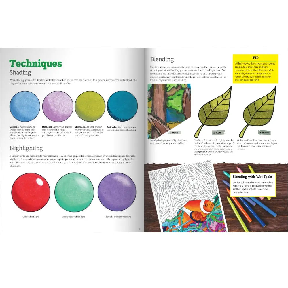 Wellspring- Coloring Book - Hidden Animals