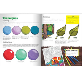 Wellspring- Coloring Book - Hidden Animals