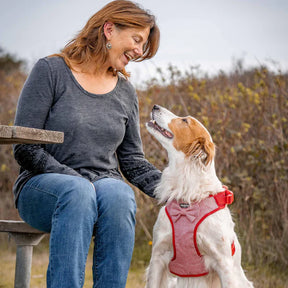Blueberry Pet - True Red | Textured Tweed Dog Harness Vest