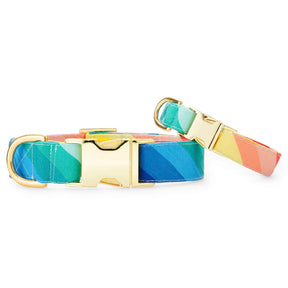 The Foggy Dog - Dog Collar Over The Rainbow