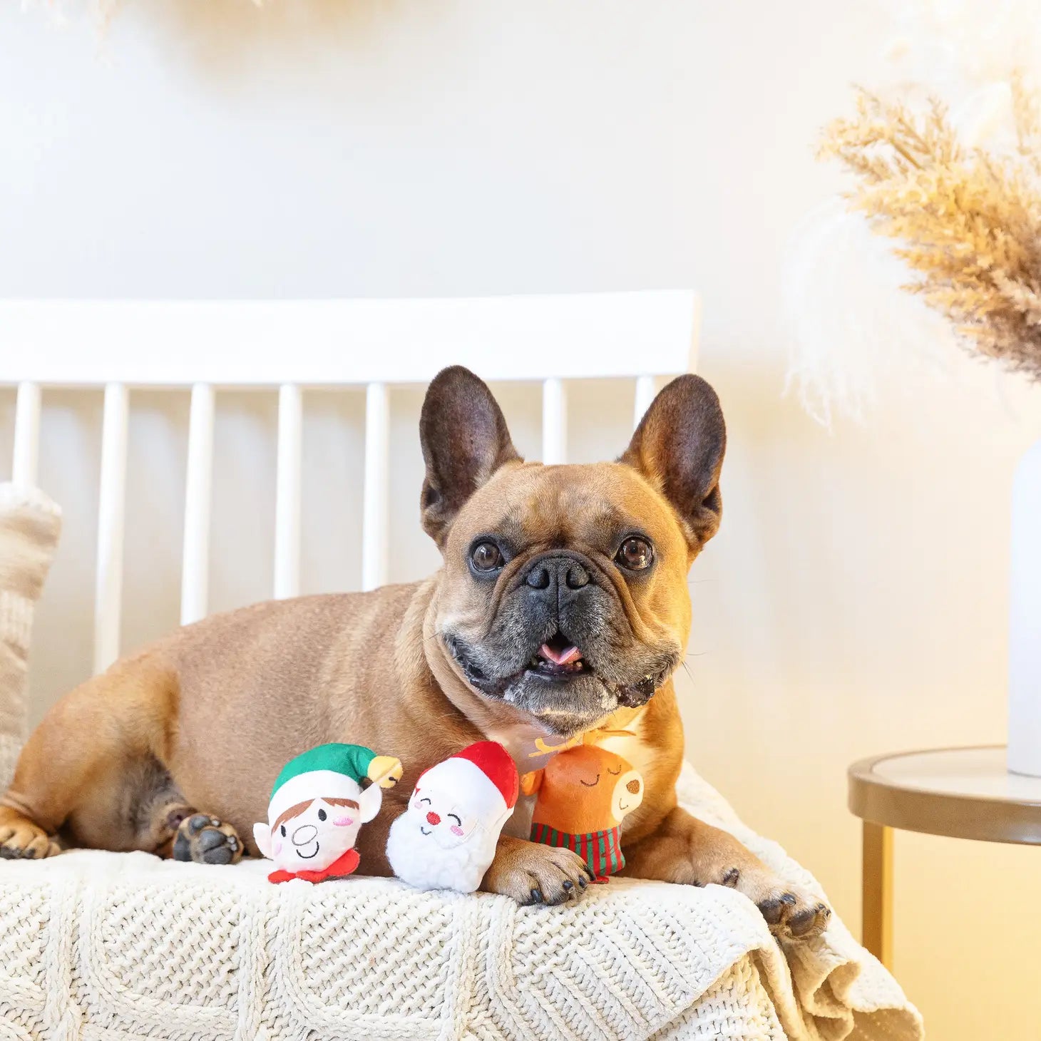 Wagsdale - Never Sleigh Never Small Dog Toys