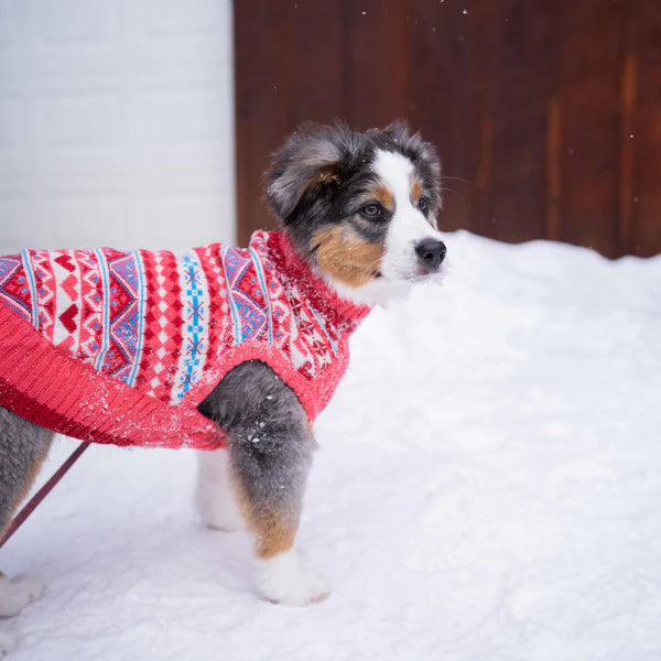 Blueberry Pet - Sugar Coral-Pink | Holiday Charm Hearts Dog Sweater
