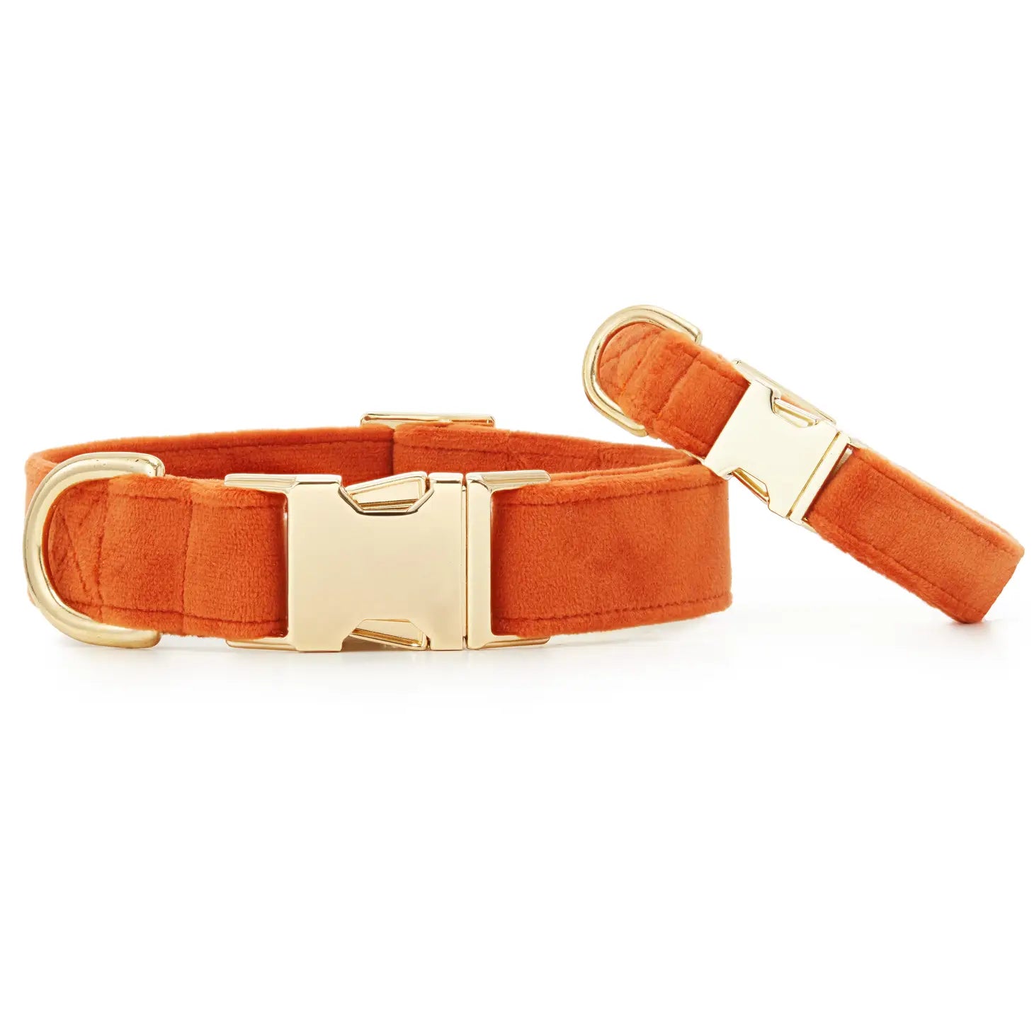The Foggy Dog - Dog Collar Velvet Pumpkin